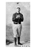 New York City, NY, New York Giants, Mike Tiernan, Baseball Card