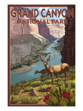 Grand Canyon National Park, Arizona, Deer Scene