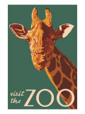 Visit the Zoo, Giraffe Up Close