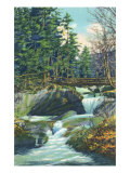 White Mountains, New Hampshire, View of the Franconia Notch Basin