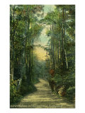 Buy Burlington, Vermont, View of a Drive in Ethan Allen Park at AllPosters.com