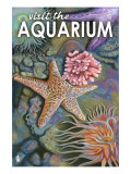 Visit the Aquarium, Tidepool Scene