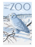 Visit the Zoo, Snowy Owl Scene