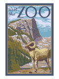 Buy Visit the Zoo, Big Horned Sheep Scene at AllPosters.com