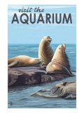 Visit the Aquarium, Sea Lions Scene