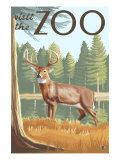Buy Visit the Zoo, White Tailed Deer Scene at AllPosters.com