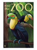 Visit the Zoo, Tucan Scene