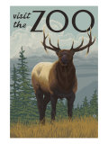Buy Visit the Zoo, Elk Solo at AllPosters.com