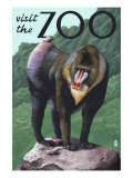 Visit the Zoo, Mandrill Scene