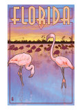 Florida, Flamingos Scene
