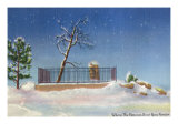 Colorado, Winter Scene at Buffalo Bill