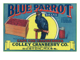 Buy Boston, Massachusetts, Blue Parrot Brand Cape Cod Cranberry Label at AllPosters.com