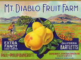 Bancroft, California, Mt. Diablo Fruit Farm Brand Pear Label