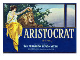 Buy San Fernando, California, Aristocrat Brand Citrus Label at AllPosters.com