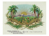 Two Alligators in a Tobacco Field Brand Cigar Box Label