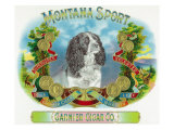 Montana Sport Brand Cigar Box Label