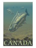 Canada, Salmon View