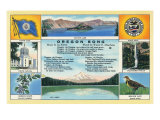 Buy Oregon, View of State Flag, Seal, Capitol Bldg, Bird, Flower, Multnomah Falls at AllPosters.com