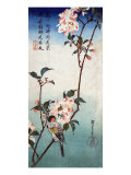 Small Bird on a Branch of Kaidozakura, Japanese Wood-Cut Print