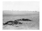 Antietam, MD, Dead Confederates Near Burnside Bridge, Civil War