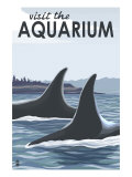 Visit the Aquarium, Orca Fins