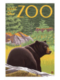 Buy Visit the Zoo, Bear in the Forest at AllPosters.com