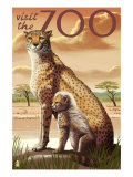Visit the Zoo, Cheetah View