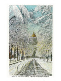 Buy Denver, Colorado, View of the State Capitol in Winter from Snowy Sherman Street at AllPosters.com