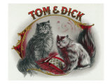 Tom and Dick Brand Cigar Box Label, Cats