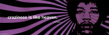 Buy Jimi Hendrix - Craziness at AllPosters.com
