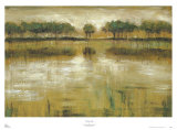 Buy Tiverton Lake at AllPosters.com