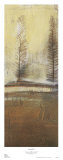 Buy Sausalito I at AllPosters.com