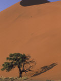 Buy Soussevlei Sand Dune at Sunrise, Namibia at AllPosters.com