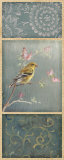 Buy Female Goldfinch at AllPosters.com