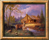 Deer Near Cabin