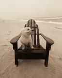 Life's a Beach