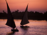 Buy Traditional Feluccas Set Sail on the Nile River, Egypt at AllPosters.com
