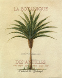 Buy La Botanique at AllPosters.com