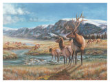 Buy Distant Call at AllPosters.com