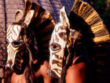 Zulu Zebra Masked Dancers, South Africa