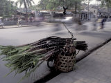 Buy Selling Sugar Cane, Vietnam at AllPosters.com