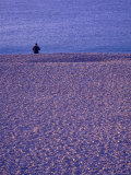 Buy Coastline near Old Town Nice, France at AllPosters.com