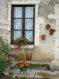Flowers of Private Home, Burgundy, France