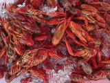 Buy Crayfish in Bergen's Fish Market, Norway at AllPosters.com