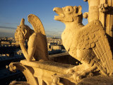 Buy Chimeras of Notre Dame Cathedral, Paris, France at AllPosters.com
