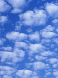 Cumulus Cloud Pattern