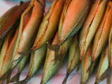 Buy Smoked Mackerel, Bergen's Fish Market, Norway at AllPosters.com