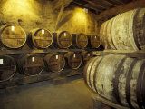 Buy Aging of Armagnac in Gascony Oak Barrels, Aquitania, France at AllPosters.com