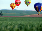 Colorful Hot Air Balloons Float over a Wheat Field in Walla Walla, Washington, USA