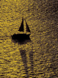 Buy Sailing at Sunset, Ft Myers, Florida, USA at AllPosters.com